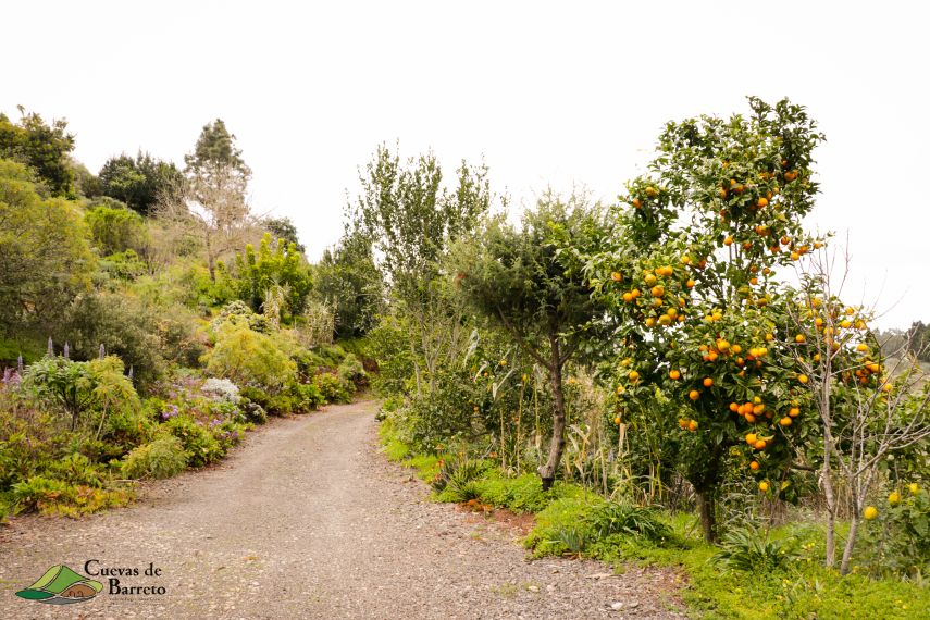 Espacios de Cuevas de Barreto